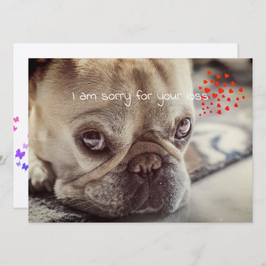 Dog Sympathy Card (Vorne/Hinten)