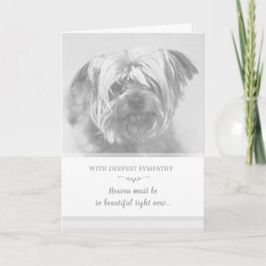 Dog Sympathy Card - Der Himmel muss schön sein Karte (Vorderseite)