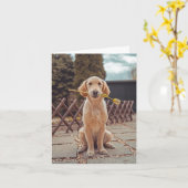 Dog Sympathy Card Karte (Gelbe Blume)