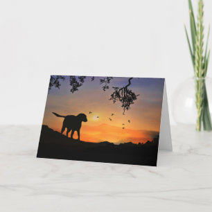 Dog Sympathy Card mit Labrador Retriever Karte