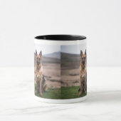 DOG-TASSE TASSE (Zentrum)