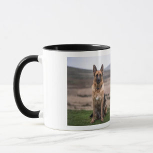 DOG-TASSE TASSE