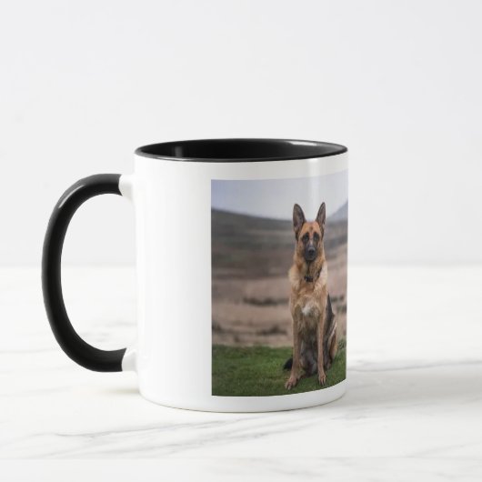 DOG-TASSE TASSE (Links)