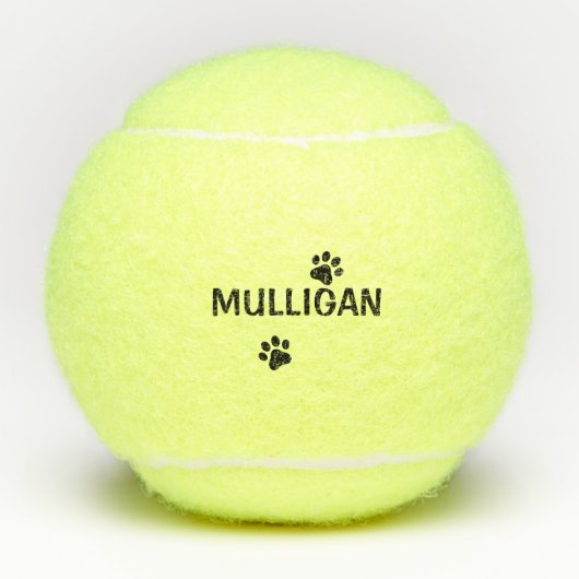 Dog Tennis Ball (Vorderseite)