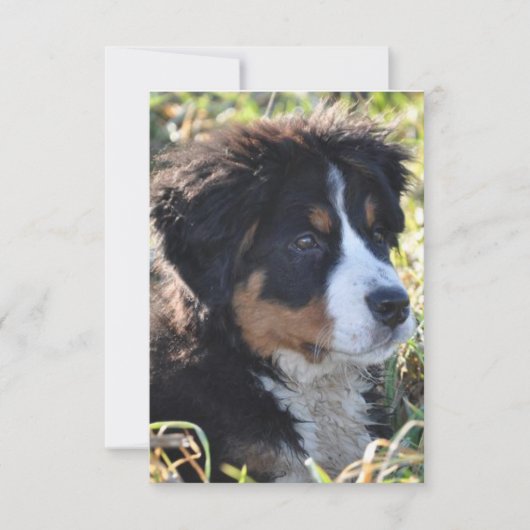 Dog Thema Danke Karte - Flat Dankeschön Karte (Vorderseite)