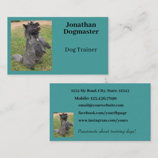 Dog Trainer Aqua Blue Aquamarines Foto Minimal Visitenkarte (Vorne/Hinten)
