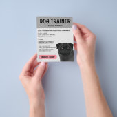 Dog Trainer Dog Dog Pet Service Grau Flyer (Gruppe)