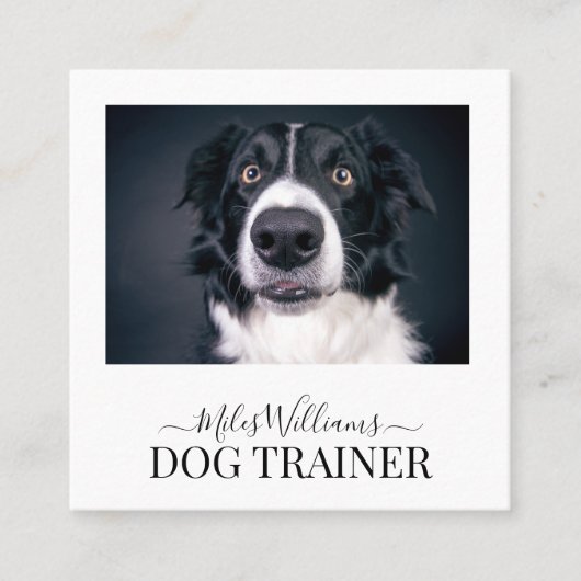 Dog Trainer oder Verhaltensforscher Quadratische Visitenkarte (Vorderseite)