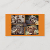 Dog Trainer Walker Foto Werbung Großartig Visitenkarte (Rückseite)