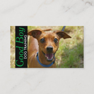 Dog Training Pet Sitting Walker Business Card Visitenkarte