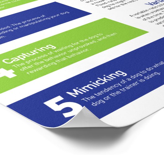 Dog Training Poster (Ecke)