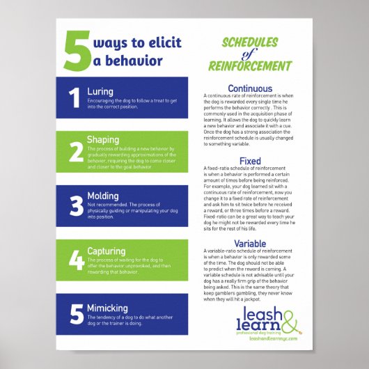 Dog Training Poster (Vorne)