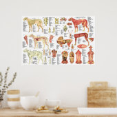 Dog Veterinary Muscle Anatomy Poster 24" X 36" (Küche)