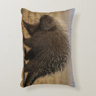 Dog vs. Porcupine Accent Pillow Dekokissen