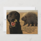 Dog vs. Porcupine Card Mitteilungskarte (Vorderseite)