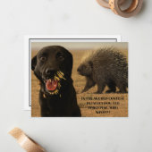 Dog vs. Porcupine Card Mitteilungskarte (Vorderseite/Rückseite Beispiel)