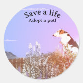 Dog Waiting for his Family Runder Aufkleber (Vorderseite)