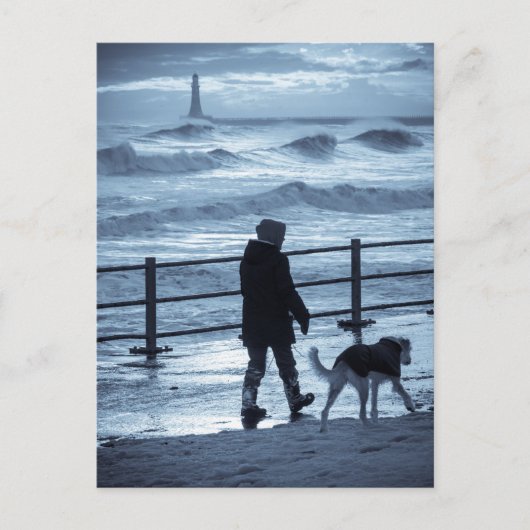 Dog Walker bei Roker Postkarte (Vorderseite)