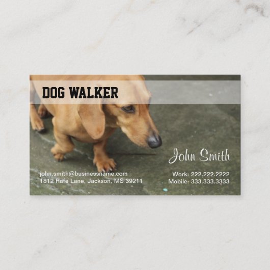 Dog Walker Business Card Visitenkarte (Vorderseite)