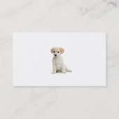 Dog Walker Business Card Visitenkarte (Rückseite)