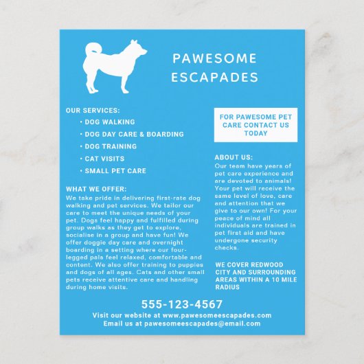 Dog Walker & Pet Sitter Aquamarin Flyer (Vorne)