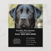 Dog Walker Pet Sitter Benutzerdefiniertes Foto Sch Flyer (Vorne)