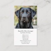 Dog Walker Pet Sitter Benutzerdefiniertes Foto Wei Visitenkarte (Vorderseite)