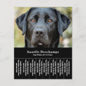Dog Walker Pet Sitter Foto Abreißen Strips Flyer (Vorne)