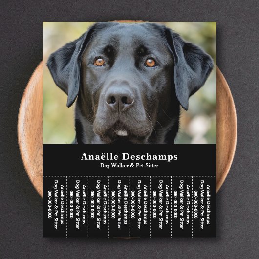 Dog Walker Pet Sitter Foto Abreißen Strips Flyer