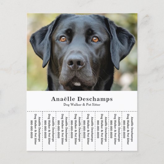 Dog Walker Pet Sitter Foto Abreißen Strips Flyer (Vorne)