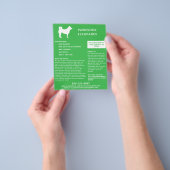 Dog Walker & Pet Sitter Grün Flyer (Gruppe)