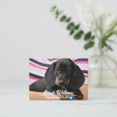 Dog Walker Pet Sitting Care Puppy Visitenkarte (Stehend Vorderseite)