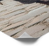 Dog Walker Poster (Ecke)