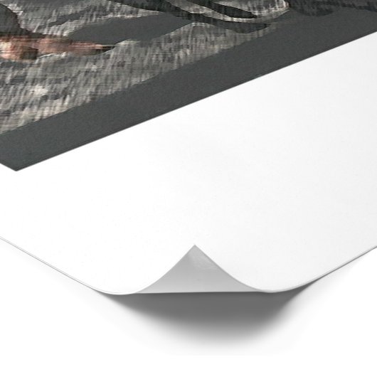 Dog Walker Poster (Ecke)