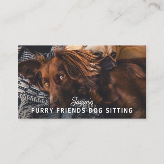 Dog Walker Sitting Daycare Service Business Card Visitenkarte (Vorderseite)