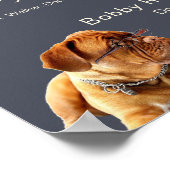 Dog Walker Trainer Foto Werbung Großartige Geschäf Poster (Ecke)