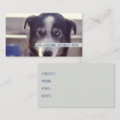 Dog Walker Visitenkarte (Vorne/Hinten)