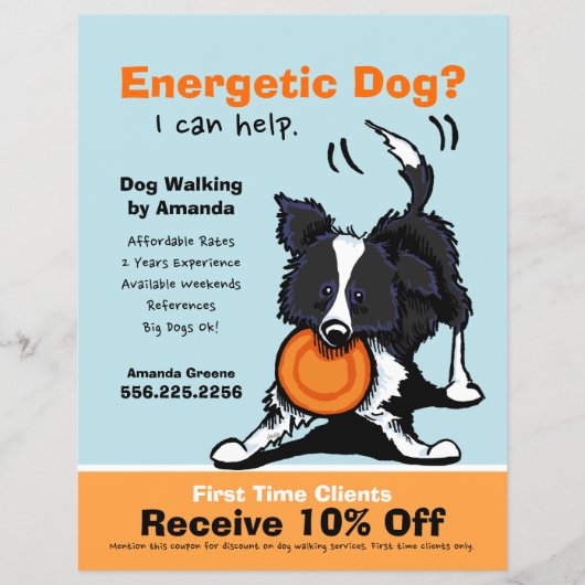 Dog Walker Walking Ad Coupon Border Collie Flyer (Vorne)