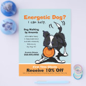 Dog Walker Walking Ad Coupon Border Collie Flyer (Einzeln)