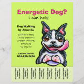 Dog Walker Walking Boston Tee Sheet Flyer (Vorne)