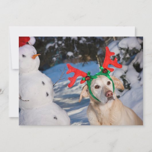 Dog Wearing Reindeer Antlers Feiertagskarte (Vorderseite)