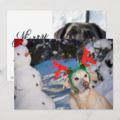 Dog Wearing Reindeer Antlers Feiertagskarte (Vorne/Hinten)