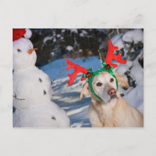 Dog Wearing Reindeer Antlers Feiertagspostkarte