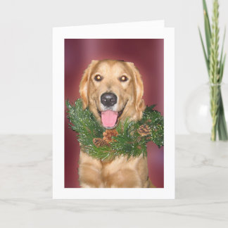 Dog wearing wreath feiertagskarte