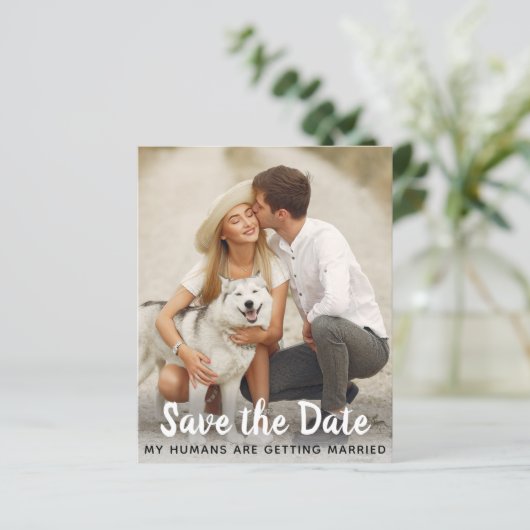 Dog Wedding Save the Date Budget QR Code Postcard (Stehend Vorderseite)