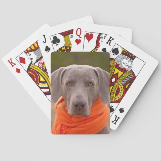 Dog Weimaraner Scarf Hauskatze Spielkarten (Rückseite)