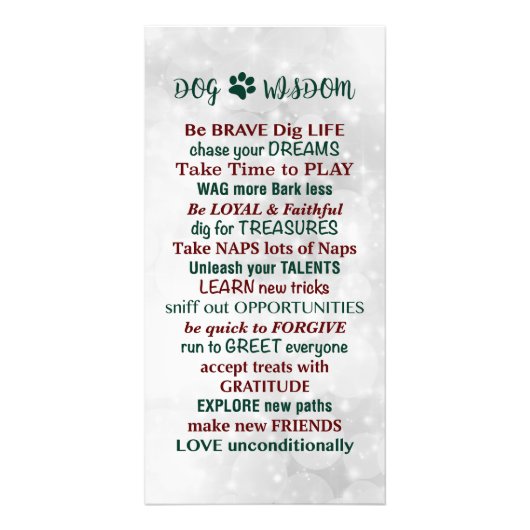 Dog Wisdom Zitat Fotodruck (Vorne)