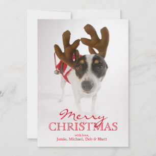 Dog With Antlers And Bell Feiertagskarte
