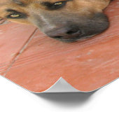 Dog Zitat Poster (Ecke)