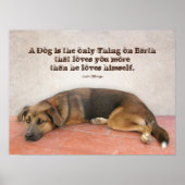 Dog Zitat Poster (Vorne)